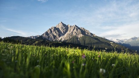 Einblicke in unser Hotel im Stubaital in Fulpmes Grüne Wiese mit Bergen und blauem Himmel im Hintergrund