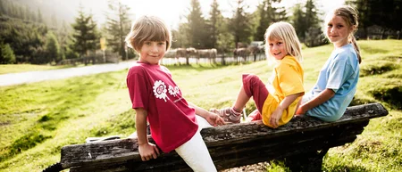 Three children sitting on a wooden bench in a sunny mountain meadow