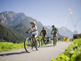 Family cycling along a path with alpine mountains in the background