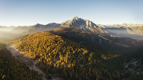 Einblicke in unser Hotel im Stubaital in Fulpmes Herbstlicher Wald mit gelben Bäumen und Berg im Hintergrund im Morgenlicht