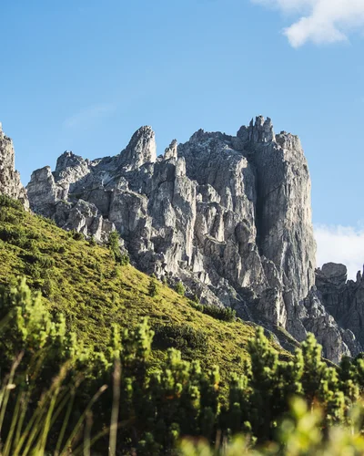 Hotel Alphof | your basecamp for walking holidays in Austria Green mountain meadow with rugged rocky peaks under a blue sky