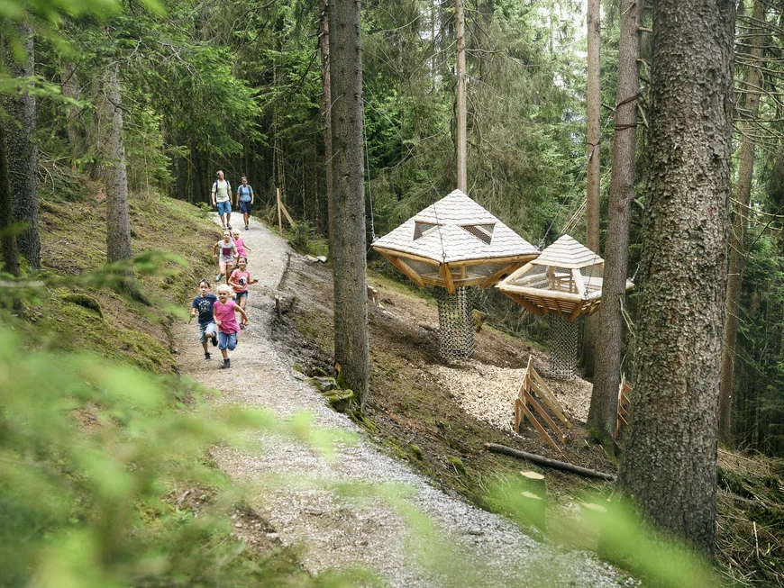 Families hike along a forest path past suspended wooden nests