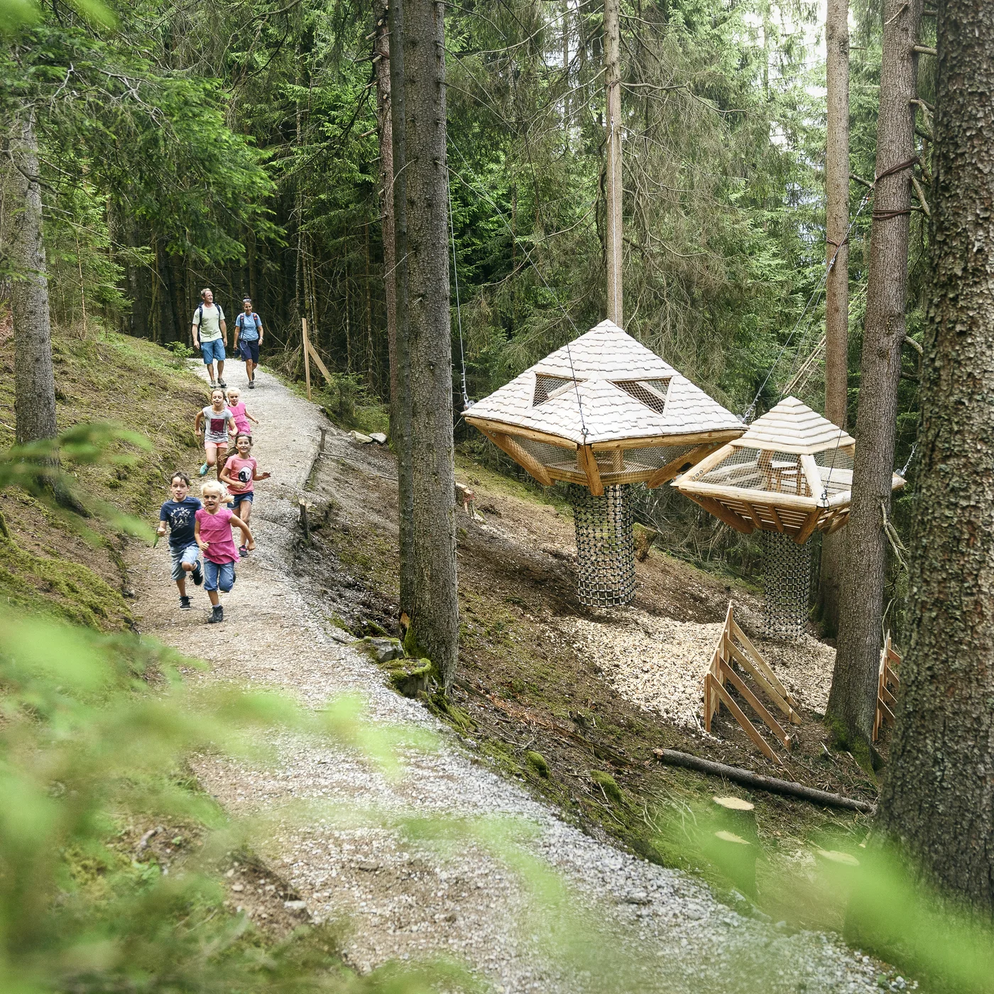 Families hike along a forest path past suspended wooden nests