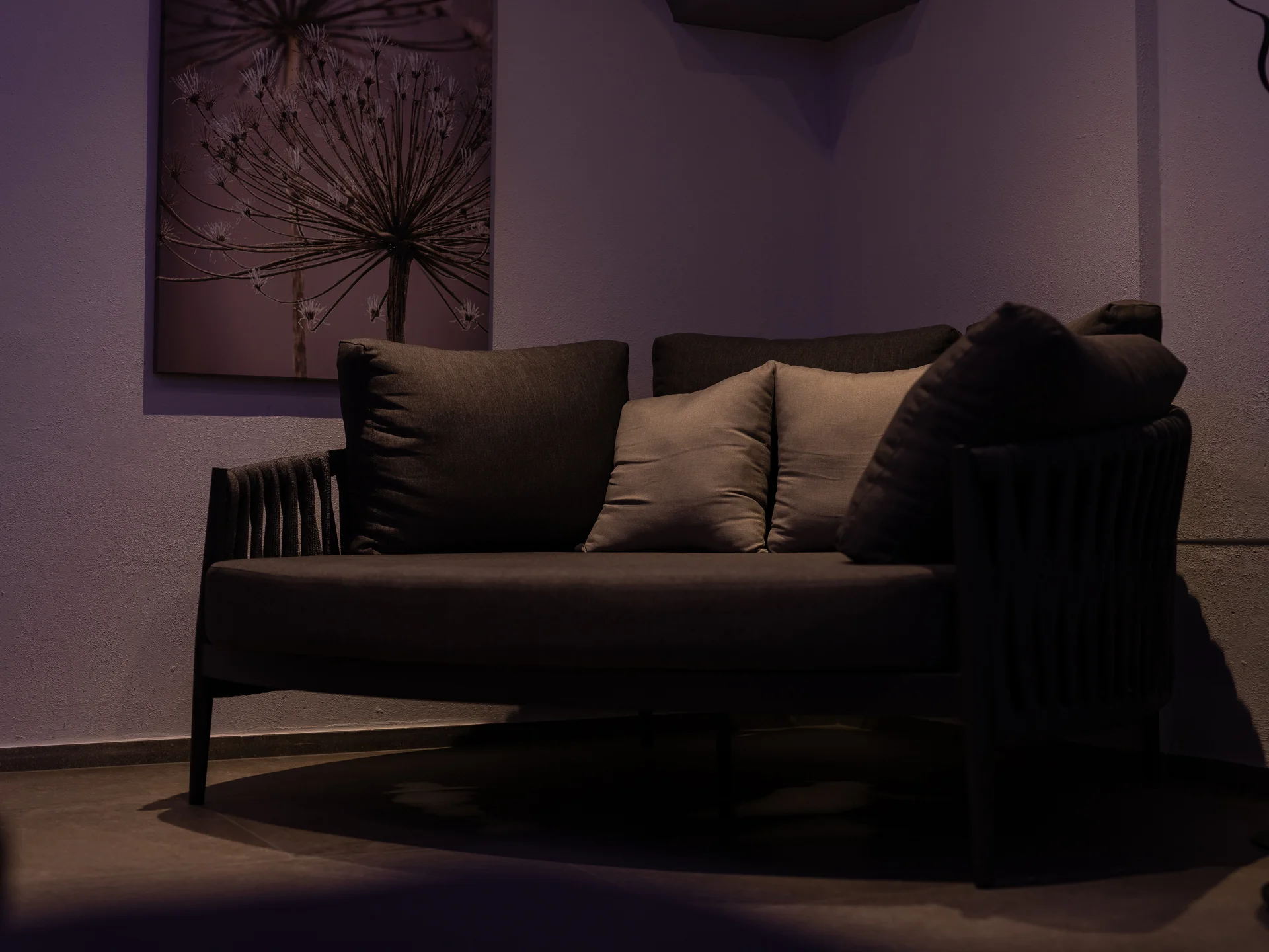 The modern AlpSpa at your spa hotel in Tyrol Dark sofa with cushions and floral artwork on the wall
