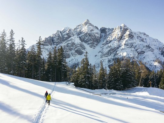 Winterurlaub in Tirol: Hotel Alphof in Fulpmes Zwei Wanderer wandern im Schnee vor schneebedeckten Bergen und Tannen