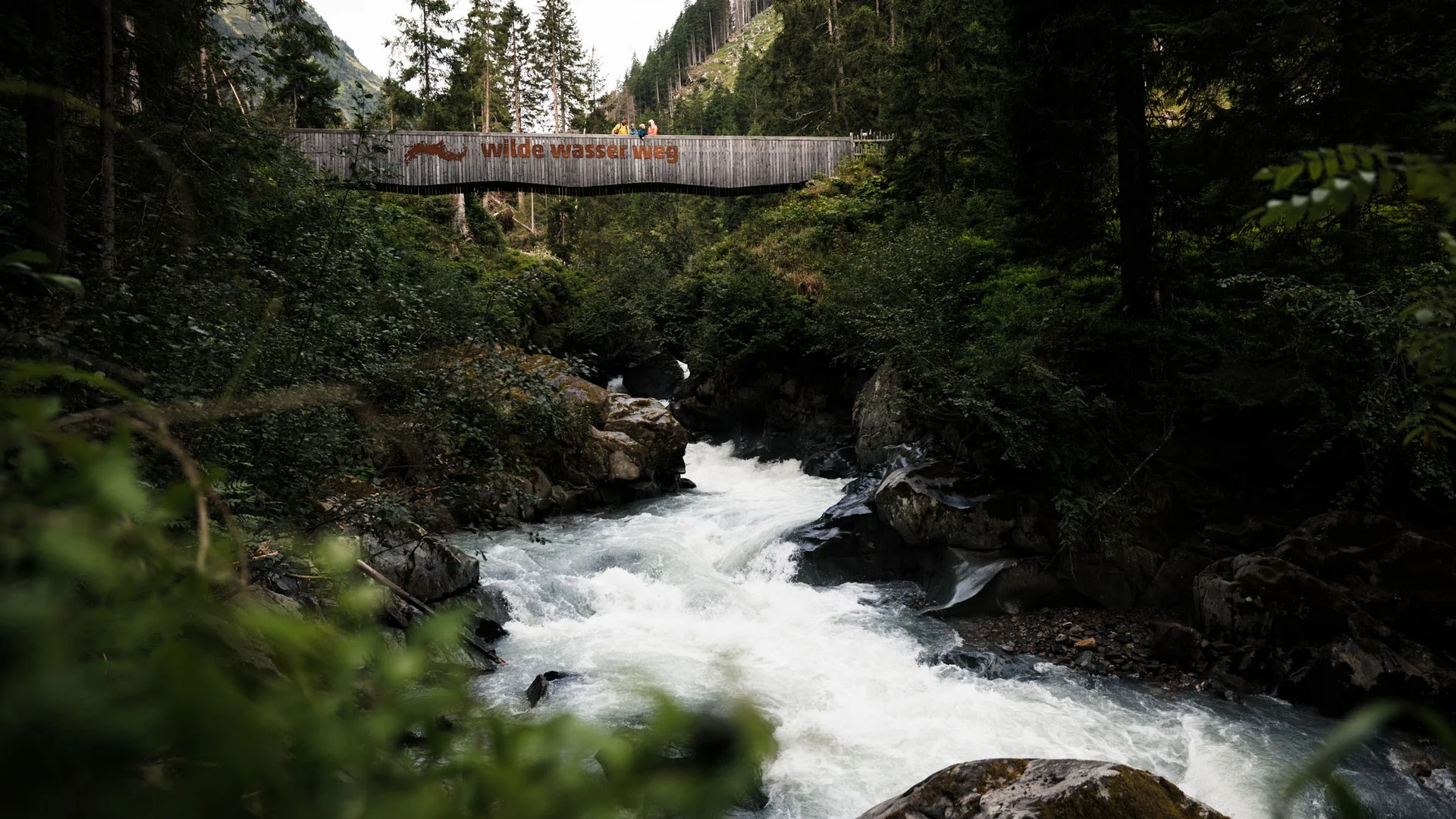 Wooden bridge over a rushing mountain stream in the forest