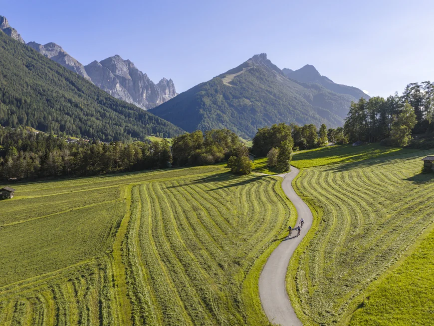 Cycle path through mown meadows with forested mountains