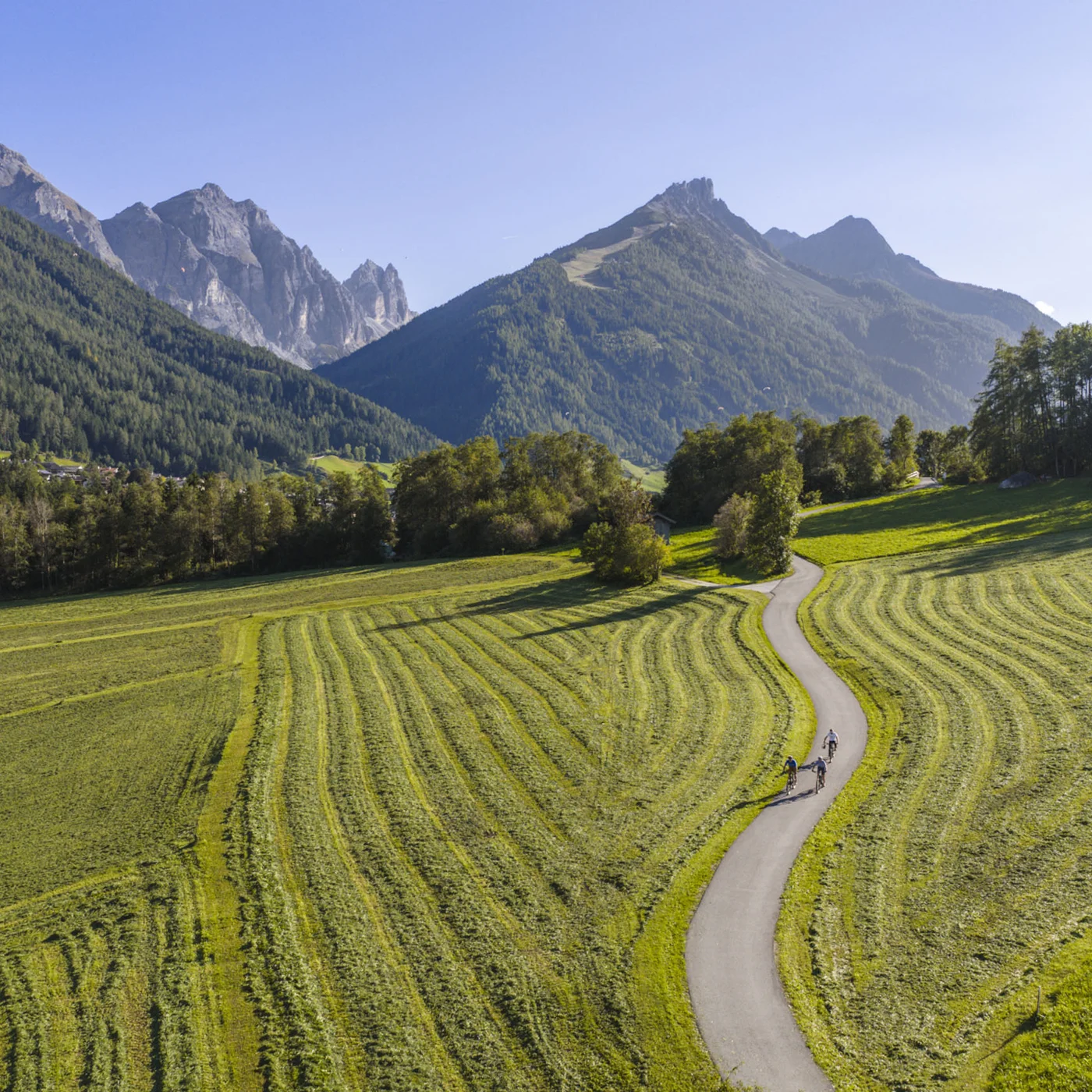 Cycle path through mown meadows with forested mountains