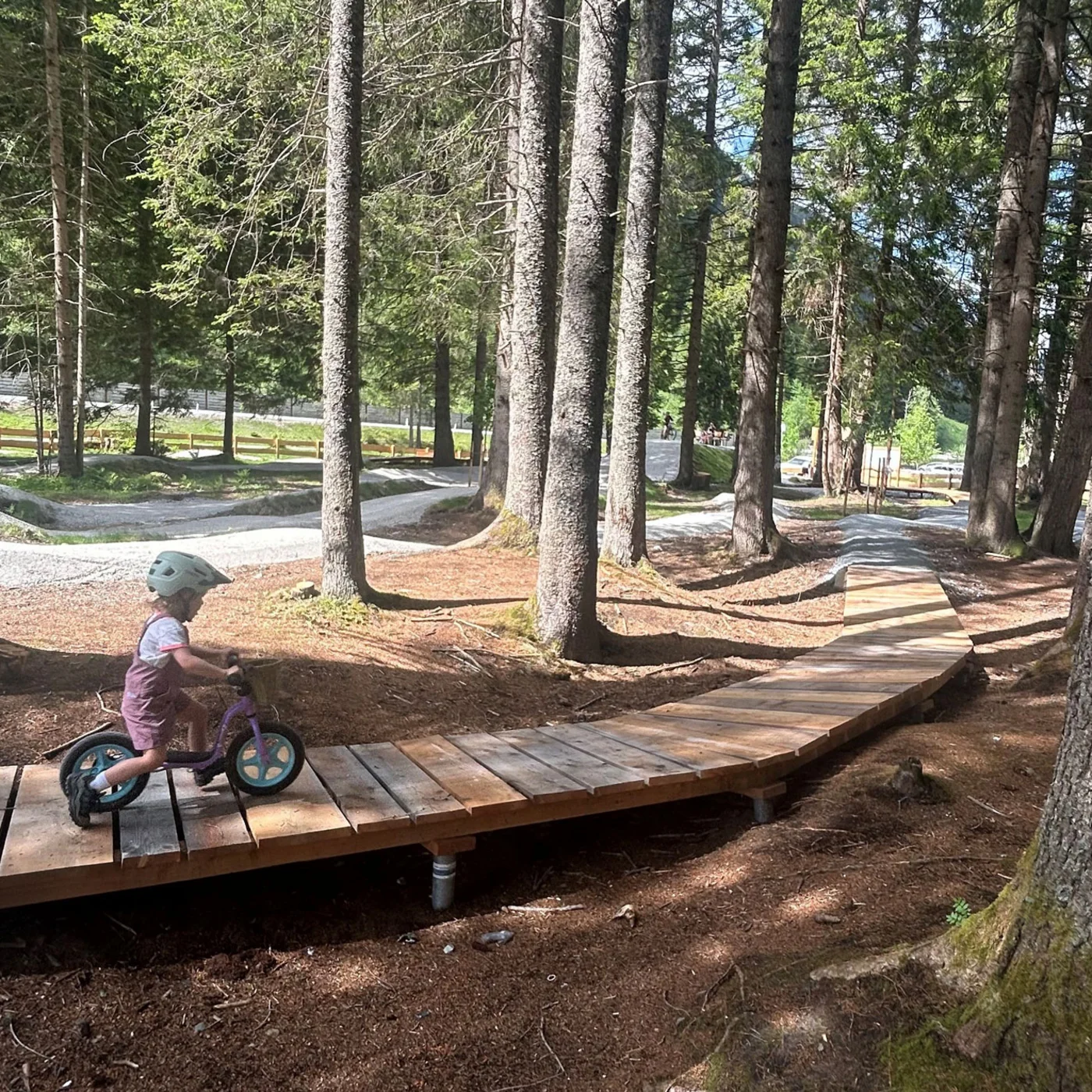 Child wearing a helmet rides a balance bike along a wooden forest trail