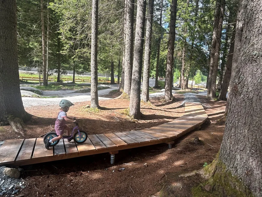 Child wearing a helmet rides a balance bike along a wooden forest trail