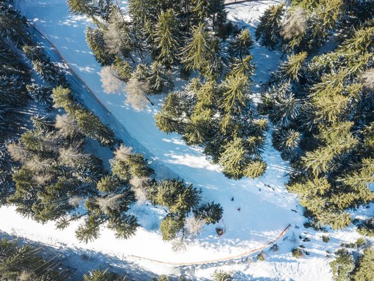 Winterurlaub in Tirol: Hotel Alphof in Fulpmes Luftaufnahme von verschneitem Wald mit einem Pfad, auf dem Menschen Ski fahren
