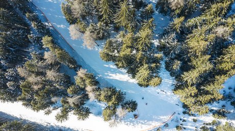 Einblicke in unser Hotel im Stubaital in Fulpmes Luftaufnahme von verschneitem Wald mit einem Pfad, auf dem Menschen Ski fahren