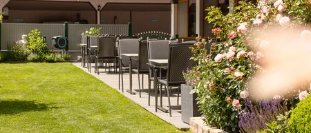Sunny garden terrace with seating and blooming roses
